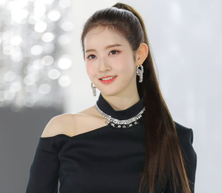 Gambar Idol Korea yang Terlahir dari Keluarga Selebritas, Mana Idola Anda? 7 - KTIZEN.COM