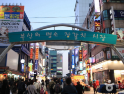 Main Yuk Guys ! Jalan-jalan Kulineran Seafood ke Pasar Jagalchi Korea Selatan